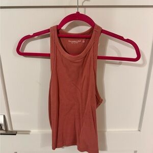 Abercrombie & Fitch Ribbed Tank Top in Dusty Terracotta